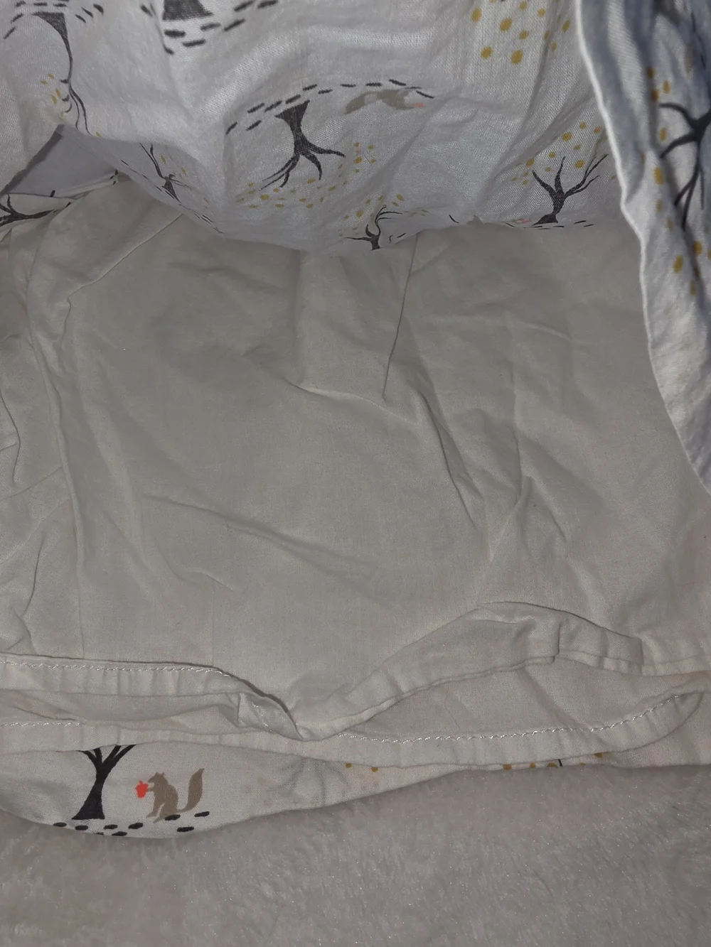GAP Cream Long-Sleeve Top with Woodland Squirrel Print 0-3 Months